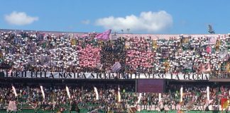 rosanero live curva nord