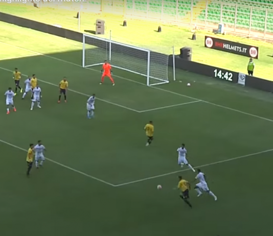 Qualcuno può spiegare perchè Rizzo Pinna non gioca?