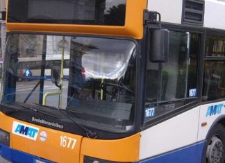 amat autobus
