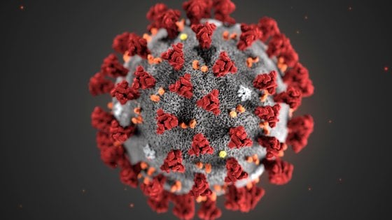 Coronavirus