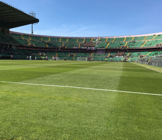 stadio barbera vuoto
