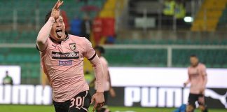 andrea belotti palermo torino