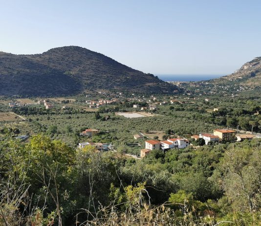 Centro sportivo, Palermo pronto a spendere 5,8 milioni di euro: si attende la decisione del Comune di Torretta centro sportivo