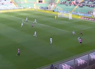 Palermo, solo un pari contro la Fidelis Andria davanti a 11 mila tifosi