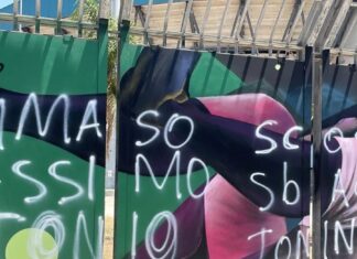Vandalizzati i murales del Barbera, il club: “Palermo è dei tifosi sognatori, non dei vandali”
